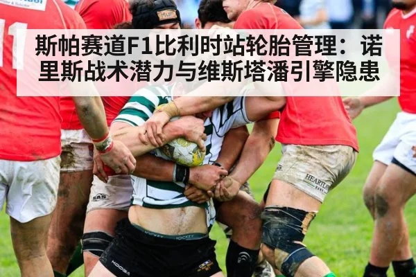 斯帕赛道F1比利时站轮胎管理：诺里斯战术潜力与维斯塔潘引擎隐患